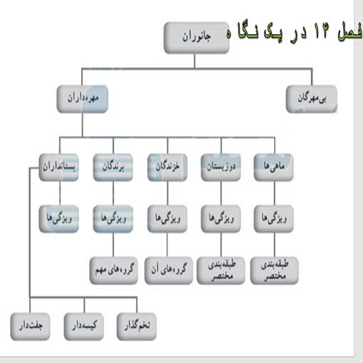 پاورپوینت فصل ۱۴ علوم نهم