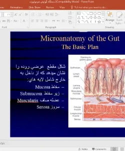 پاورپوینت فیزیولوژی دستگاه گوارش