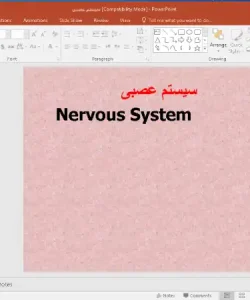 پاورپوینت سیستم عصبی