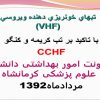 پاورپوینت تبهاي خونريزي دهنده ويروسيVHF