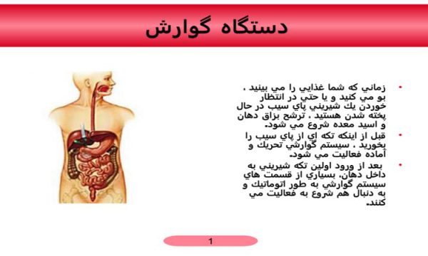 پاورپوینت دستگاه گوارش