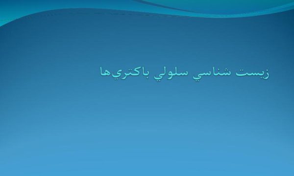 پاورپوینت زیست‌ شناسی سلولی باکتری‌ها