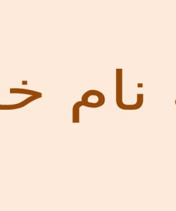 پاورپوینت معرفی دستور عمل بیماریهای قلبی در بارداری و پس از زایمان