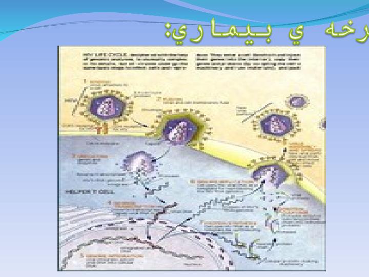 پاورپوینت بيماري ایدز