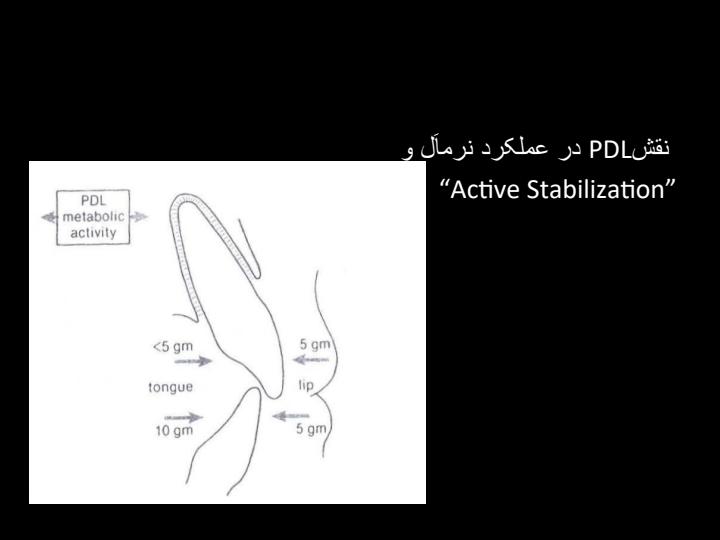 پاورپوینت بیومکانیک ارتودنسی