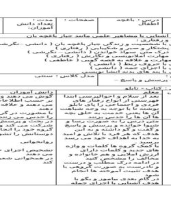 طرح درس فارسی چهارم درس باغچه اطفال