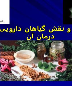 پاورپوینت دیابت و نقش گیاهان دارویی در درمان آن