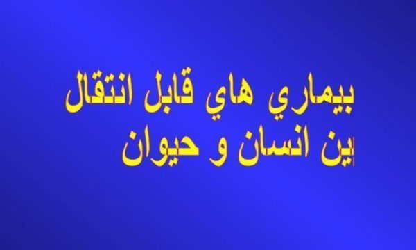 پاورپوینت بيماري هاي قابل انتقال بين انسان و حيوان