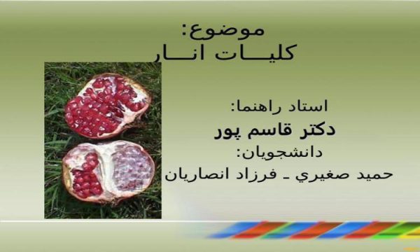 كليـــات انـــار ppt