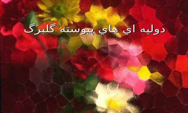 دولپه اي هاي پيوسته گلبرگ