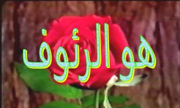 اصول برنامه ریزی آموزشی