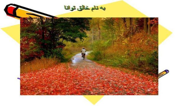 دستگاه تناسلی مرد ppt