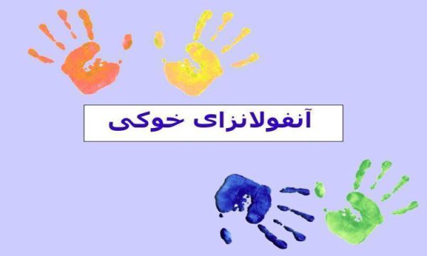 آنفولانزای خوکی ppt