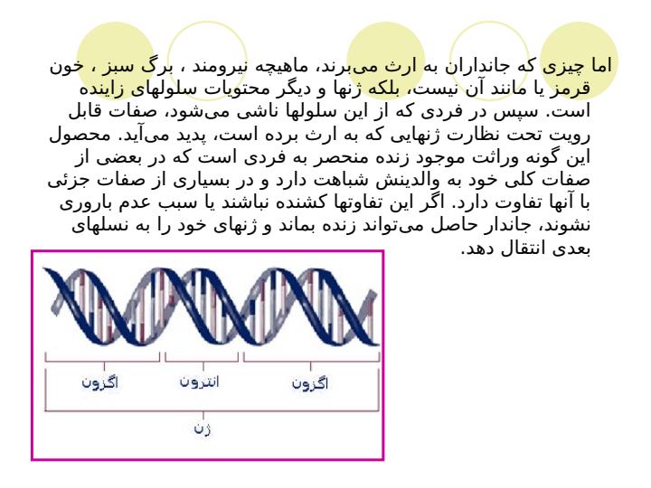 ساختار-ژن2