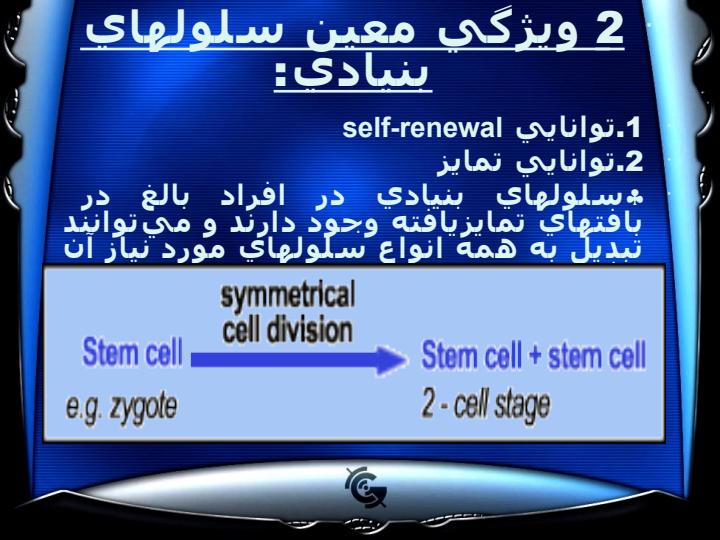 سلول-سلولهای-سرطانی5