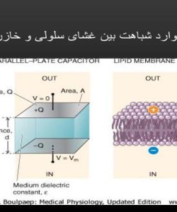 پاورپوینت موارد شباهت بین غشای سلولی و خازن