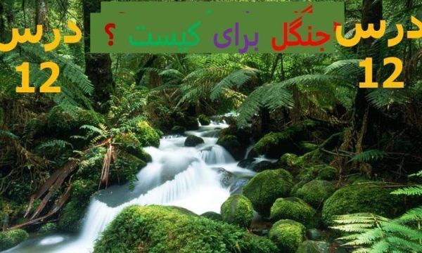 پاورپوینت علوم ششم دبستان درس 12 جنگل برای کیست