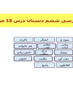 فارسی ششم دبستان درس 15 میوهی هنر