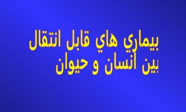 تب مالت ppt