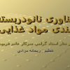 فناوری نانودربسته بندی مواد غذایی