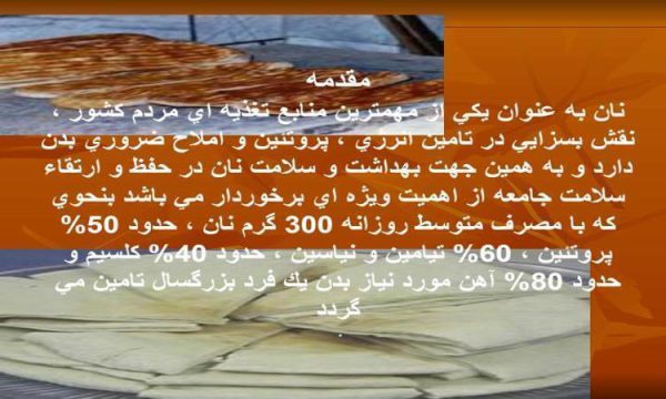 راه های جلوگیری از الودگی نان ppt