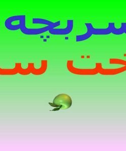 پاورپوینت پسربچه و درخت سیب