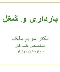 پاورپوینت بارداری و شغل