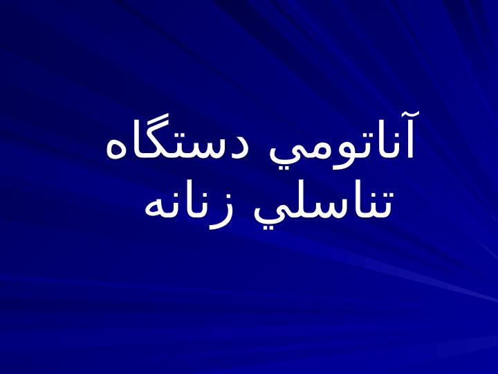 آناتومي-دستگاه-تناسلي-زنانه1