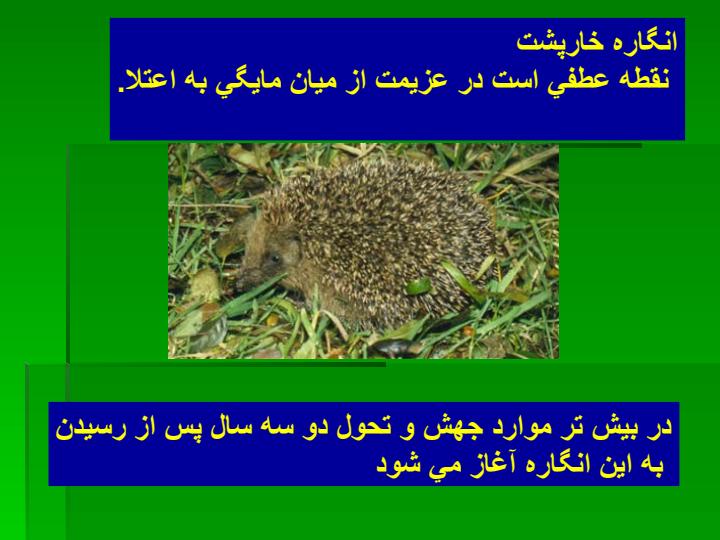 بلاي-تبحر6
