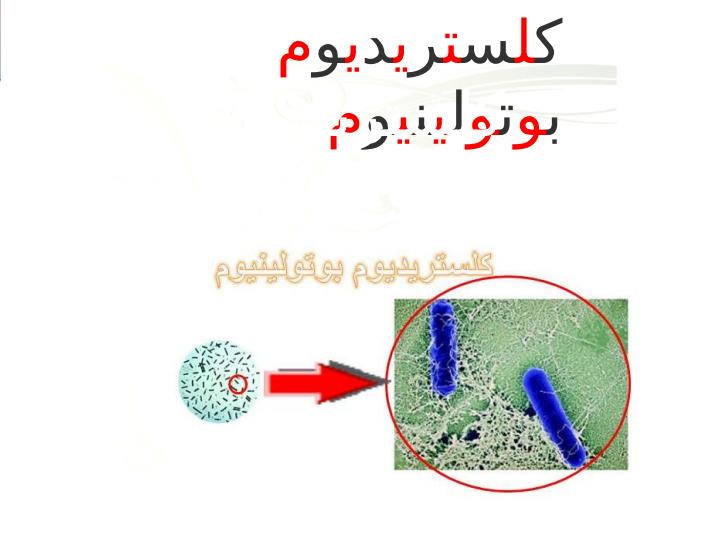 بوتوليسم3