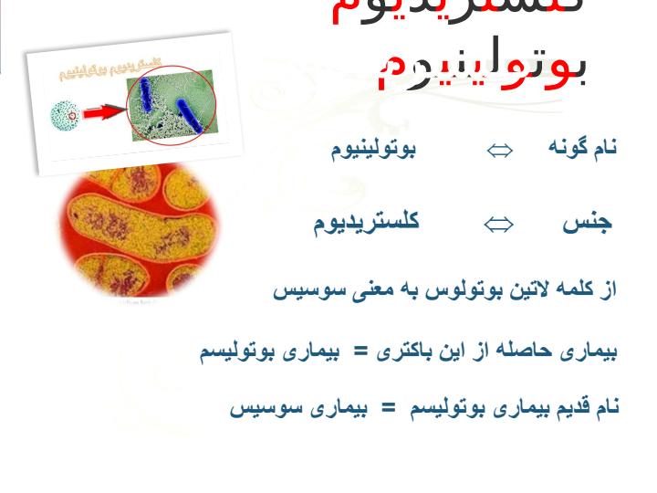 بوتوليسم4