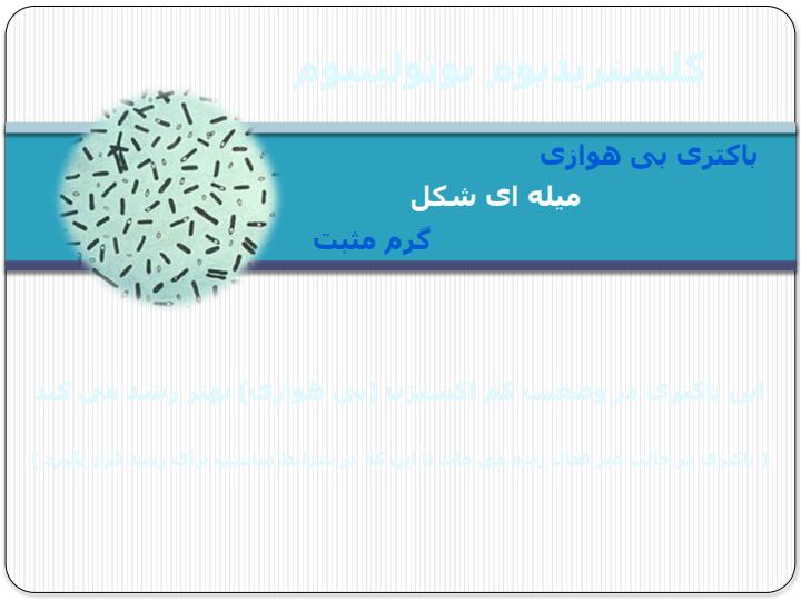 بوتوليسم5