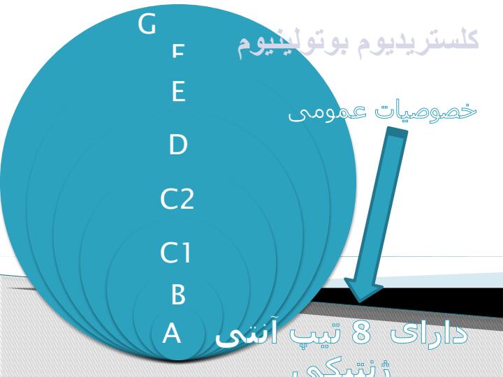 بوتوليسم6