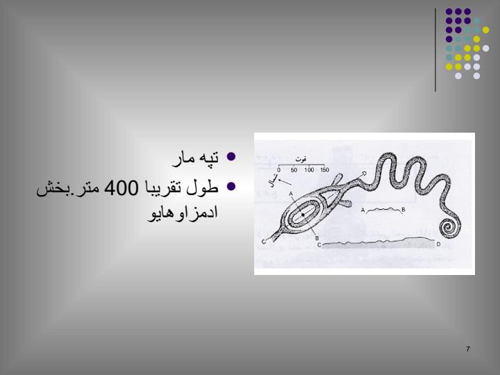 بومیان-امریکا-افریقا-اقیانوسیه6