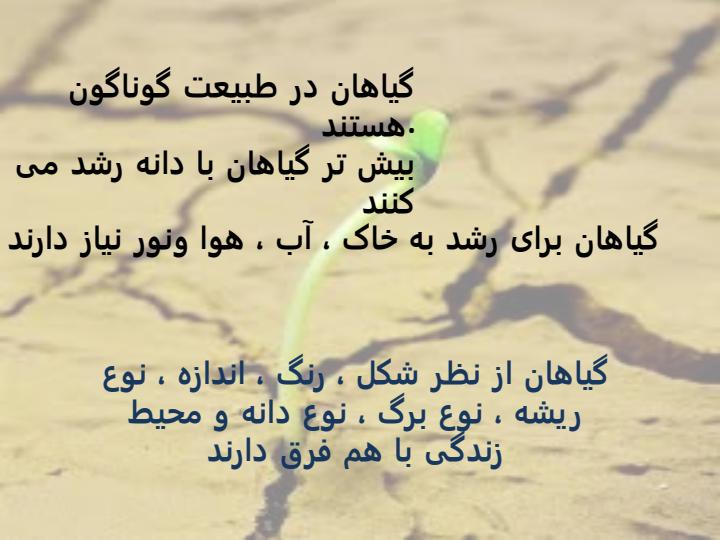 بکارید-و-ببینید1