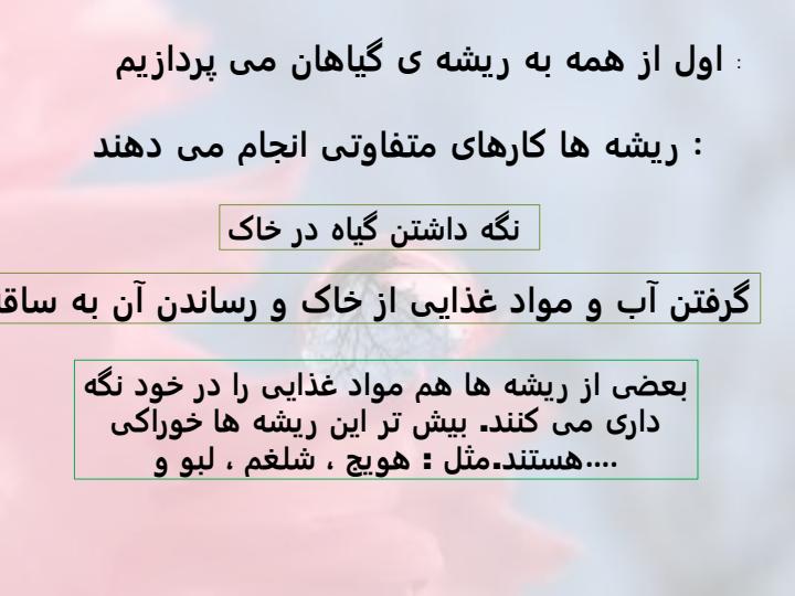 بکارید-و-ببینید3