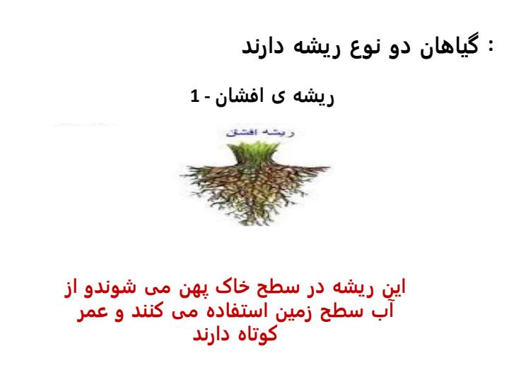 بکارید-و-ببینید4