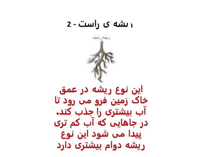 بکارید-و-ببینید5