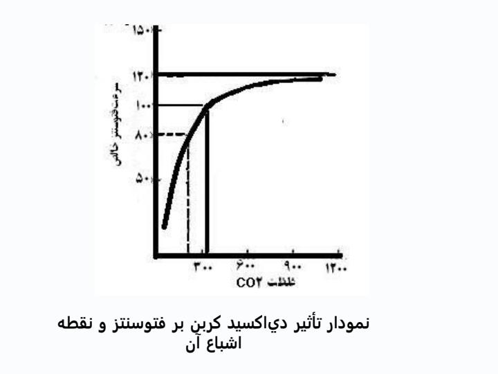تأثير-عوامل-محيطي-بر-رشد-و-نمو-سبزيها5