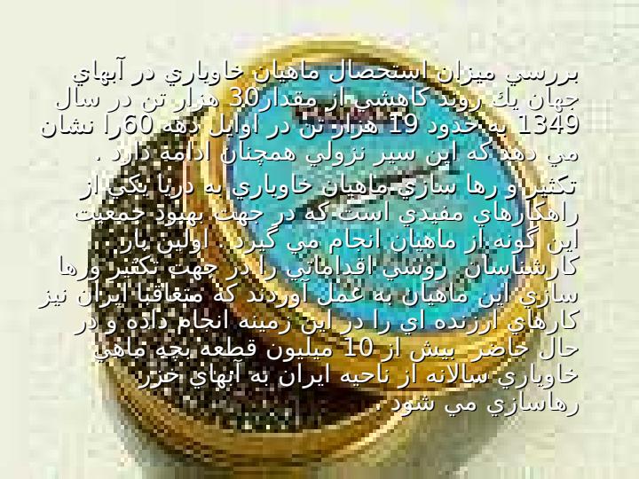 تكثير-مصنوعي-ماهيان-خاوياري1