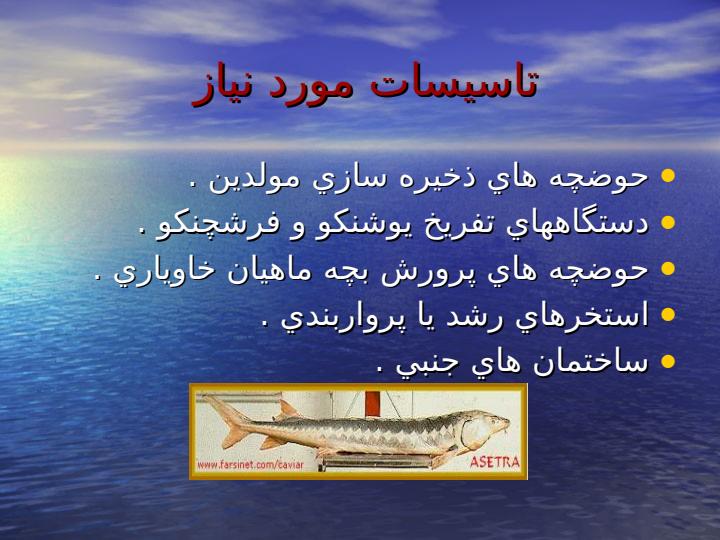 تكثير-مصنوعي-ماهيان-خاوياري2
