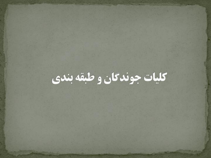 جانوران-مضر-شهری2