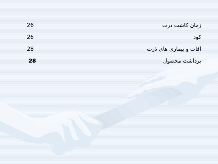 دانه-هاي-روغني-سويا-و-ذرت5