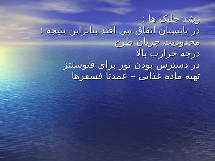دریاچه-پامدال2