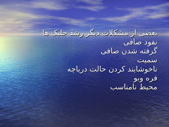 دریاچه-پامدال3