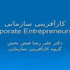 کارآفرینی-سازمانی