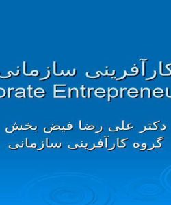 کارآفرینی-سازمانی