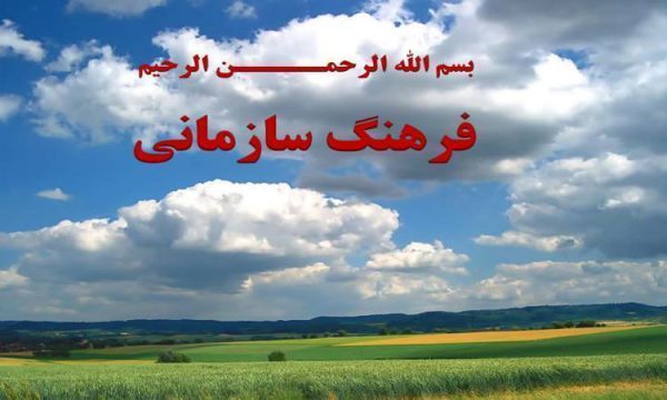 فرهنگ-سازمانی