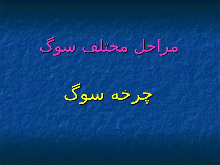 سوگ-و-سوگواري-در-بلاياي-طبيعي3