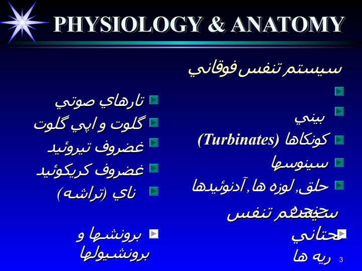 سيستم-تنفس-فوقاني2